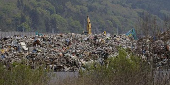 New Study Out Of Japan Shows The Surprising Atmospheric Effects Of The 2011 Tsunami