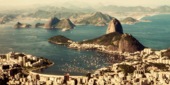 The many microbes in Rio's water