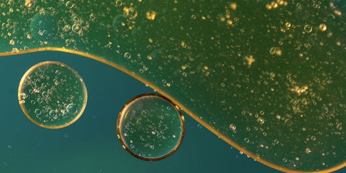 How Do Gut Bacteria Move From One Host to Another?