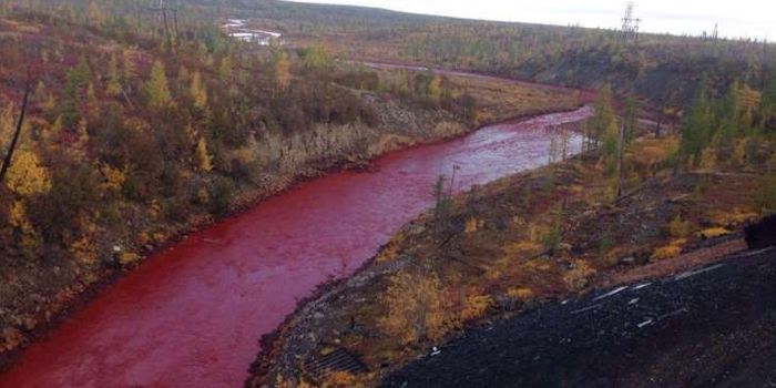 Why the River Runs Red