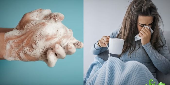 Tracking Genetic Mutations and the Spread of the SARS-CoV-2 Virus