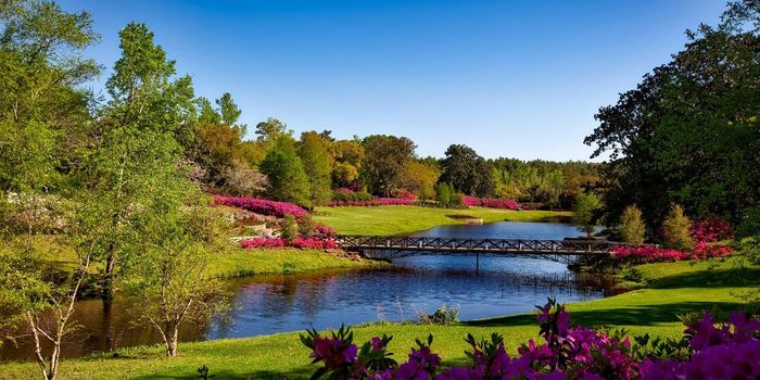 2 Hrs in Nature Relieves Mental Health Symptoms in Children