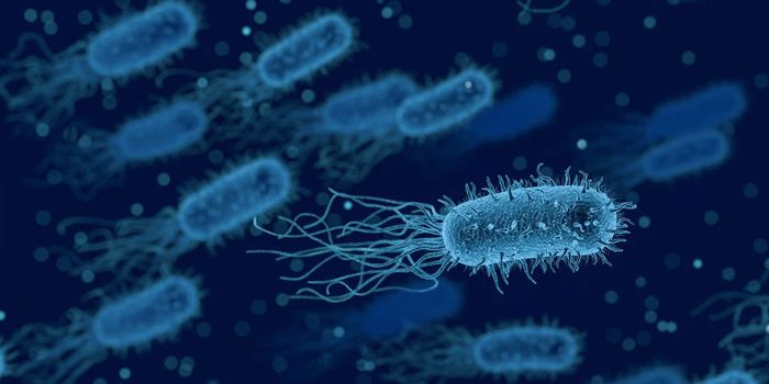 Some Gut Bacteria Produce Toxic Chemicals That Can Damage the Brain