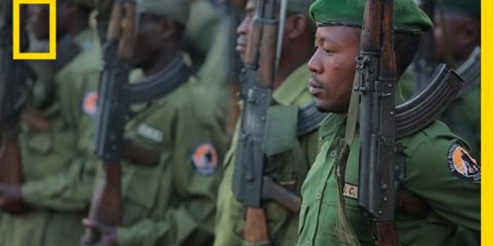 Gorilla Defenders: On the Front Lines of Illegal Wildlife Trafficking