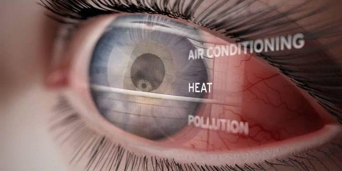 A Journey Through the Human Eye: How We See