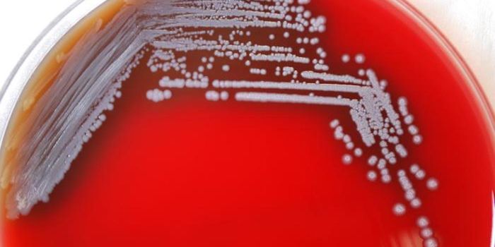 Aromatherapy Spray Recalled Because of Deadly Bacterial Contamination