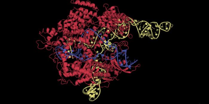 A Tiny But Efficient Cas Protein is Discovered in a Bacteriophage