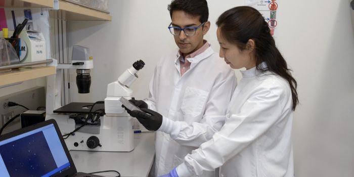 Scanning Cancer's Genome to Uncover Resistance Genes