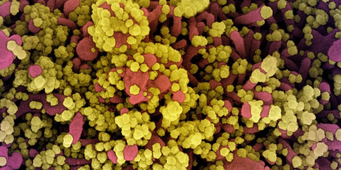 Vibrations in Coronavirus Proteins Help Them Infect Cells