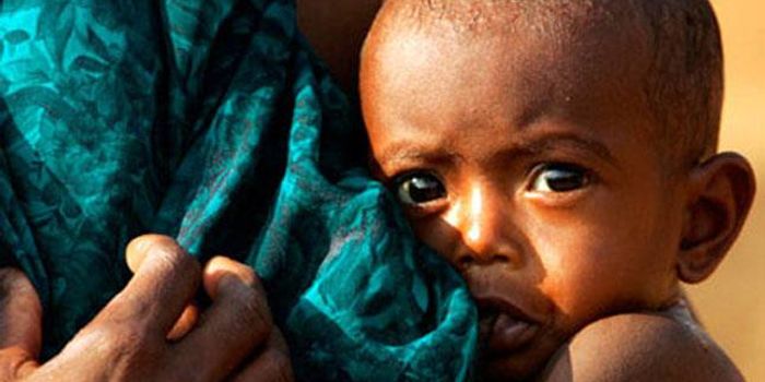 Rising temperatures means more global food insecurity