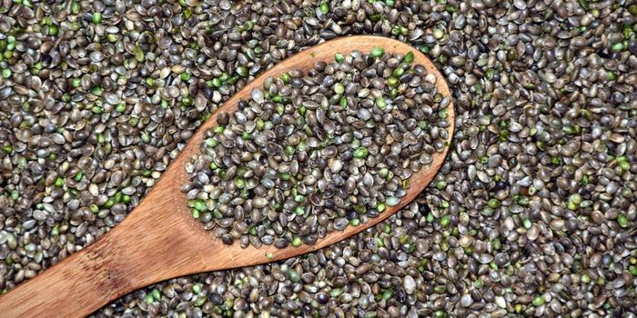 Hemp Seed Peptide Helps Manage Mild Hypertension