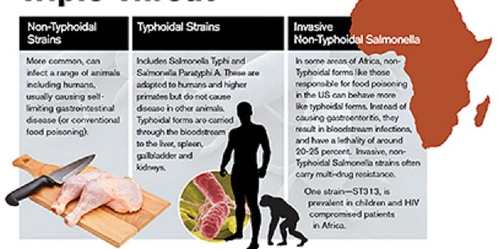 Newly Identified Group of Salmonella are Highly Virulent and Multi-Drug Resistant