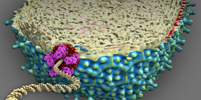 "Scrunchworm Hypothesis" For Antiviral Development Gains Traction