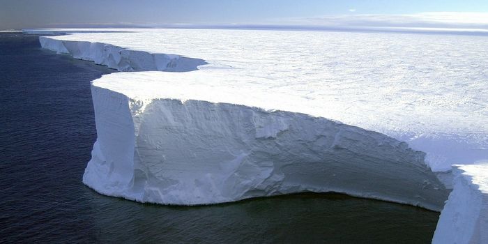 Deep Under Ice in the Antarctic, Life Lurks