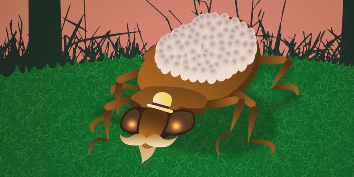 These Are Some of the Most Extreme Dads in the Animal Kingdom