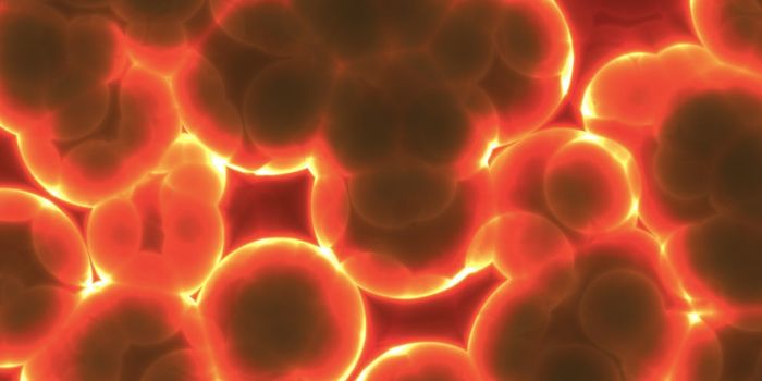 A Fast & Inexpensive Method for Detecting Antibiotic Resistance