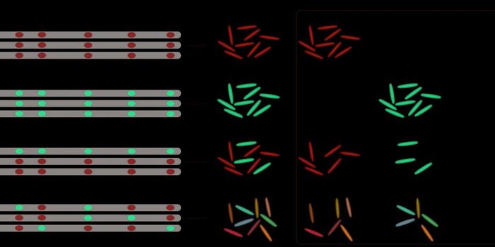 Drug Resistance in Tuberculosis Involves a Unique Mechanism