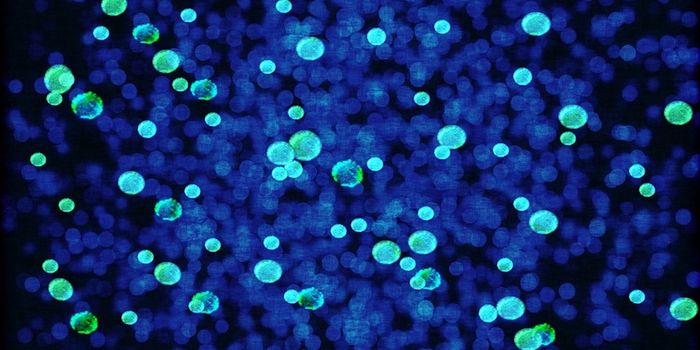 Cataloging the Microbial Genes in the Human Microbiome