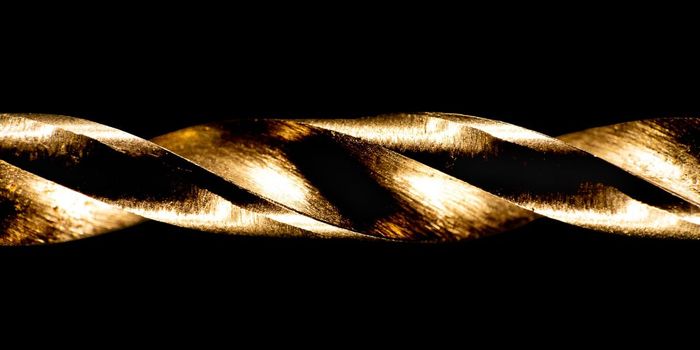 Prenatal Metal Exposure Has Long Term Health Consequences