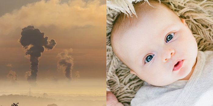 Air Purifiers Found To Improve Fetal Growth