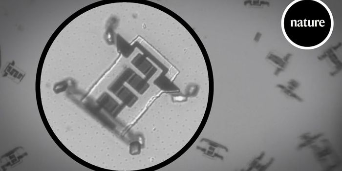 The Rise of (Micro)Robots