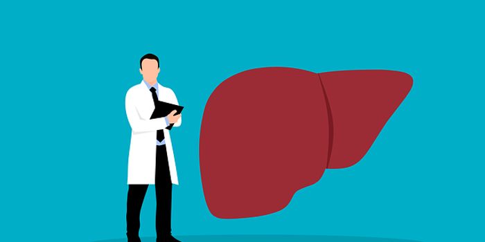 The Role of Genetics in Liver Disease