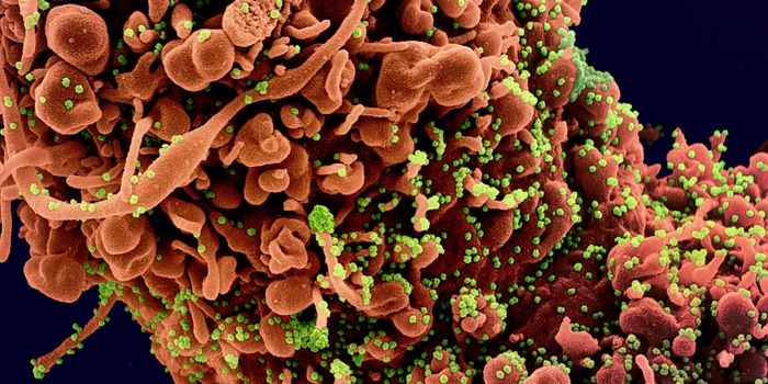 A Human Protein Can Mutate SARS-CoV-2, But It Can Change Back