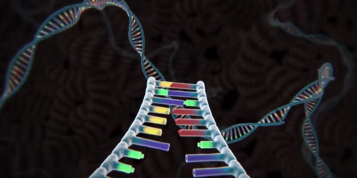 NIH Approves Human CRISPR Trial Funded by Sean Parker