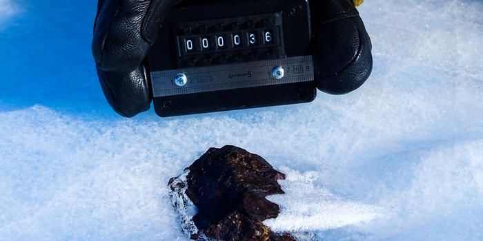 Sinking Stars: Climate-Induced Loss of Antarctic Meteorites