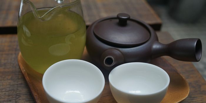 Green Tea Boosts a DNA-Repairing, Tumor-Suppressing Protein
