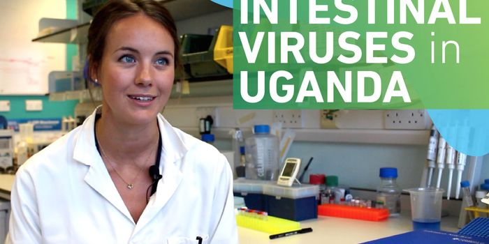 How Common Are Intestinal Viruses in Uganda Children?