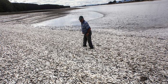 How do we breathe without oxygen?