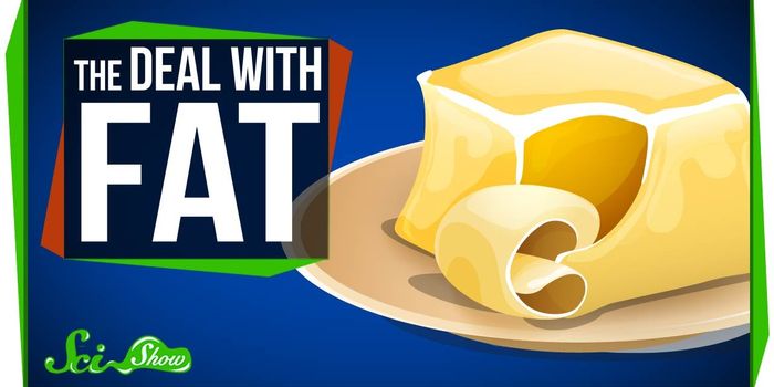 The Science Behind Fat