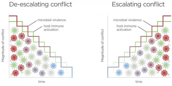 Making War or Peace in the Gut - the Microbiome and Health