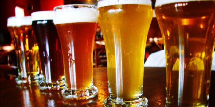 Keeping the Bacteria out of the Beer