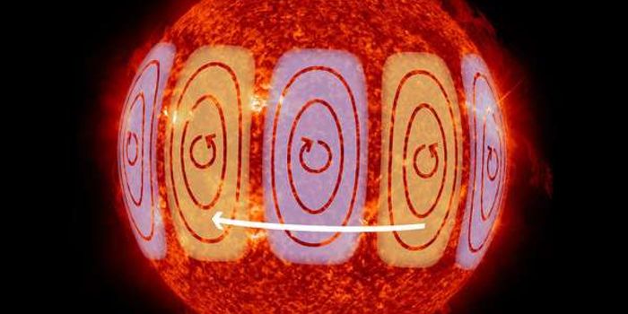 Scientists Confirm Existence of Solar Rossby Waves