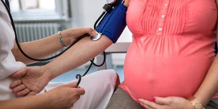 Air pollution can shorten babies' telomeres