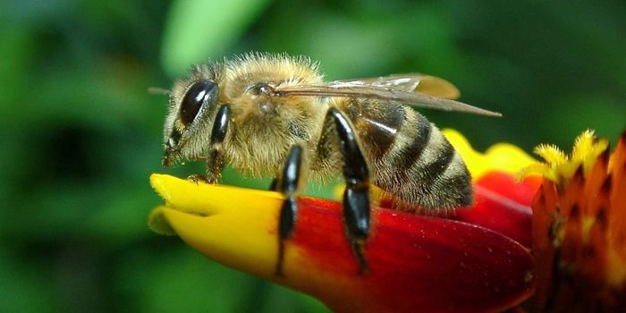 Finding Ways To Keep the Buzz Going