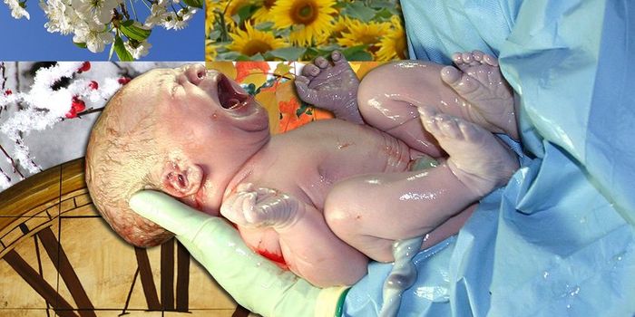 Season of Birth Impacts Allergy Development