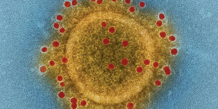 How the Next Pandemic may Happen