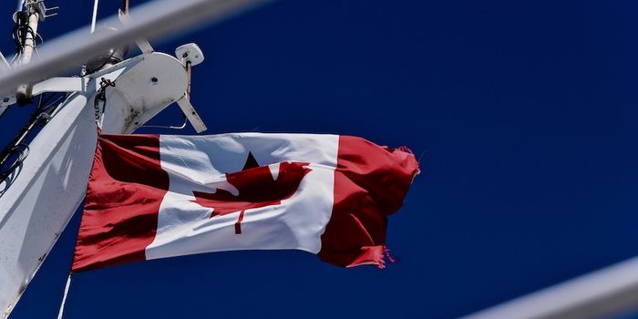 Flying off the Shelves: Legal Marijuana Dispensaries are Running Out of Stock