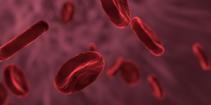 Breast Cancer Drug Reverses Deadly Blood Cancer in Mice