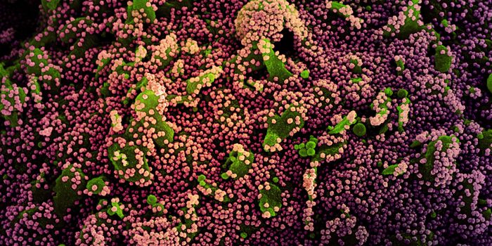 Newly-Named Coronavirus Variant Causes Concern