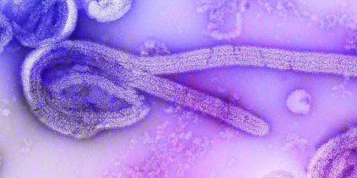 The First Treatment for Ebola is Approved by FDA