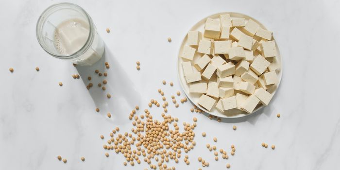 Soy Milk Production May Not Be Economically Viable in Developing Countries