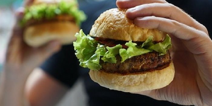 A Junk Food Diet Can Produce an Immune Response