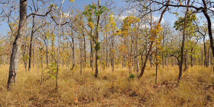 A wetter world, but with less available water