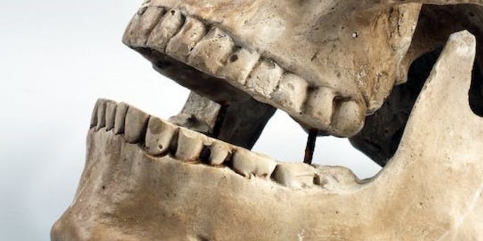 A Viral History- Cold Sores Have Been Around for How Long?