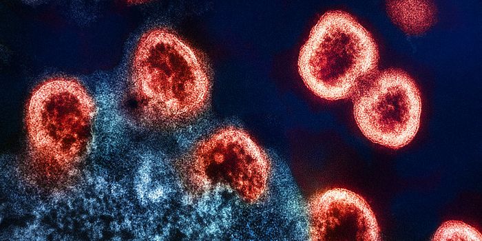 Researchers Capture Dynamic Movement on Surface of HIV