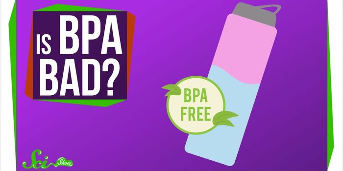 Should You be Worried About BPA?